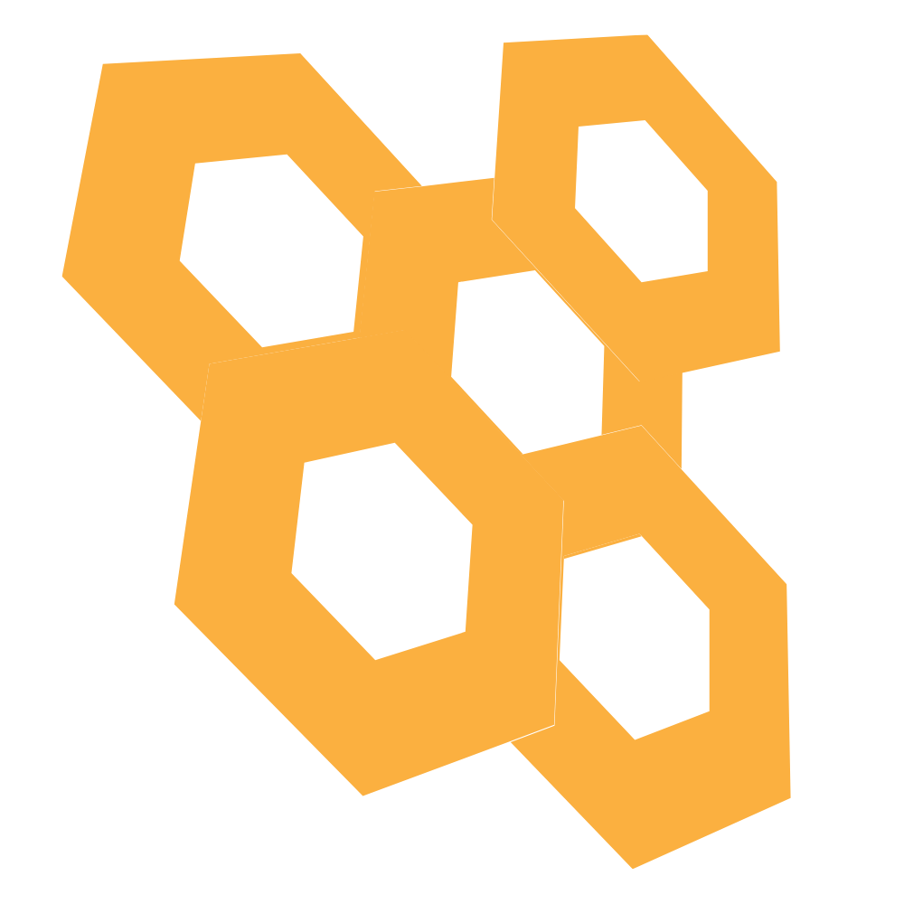 Bee Vision
